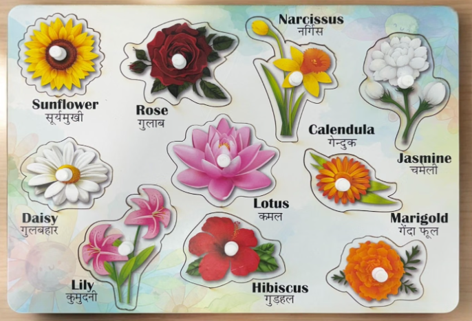 Montessori Wooden Bilingual Flowers Identification Peg Puzzle Board